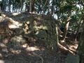 Thumbnail for version as of 07:21, 7 June 2024