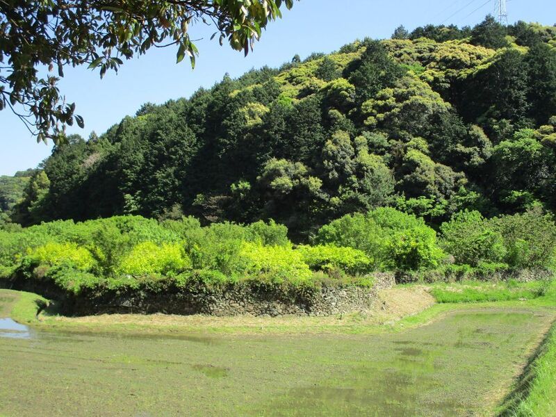 File:TouyaganejouA (3).jpg