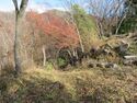 Hirasejou (11).JPG