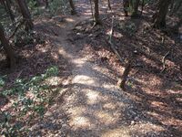 Ikoyamajou002.jpg