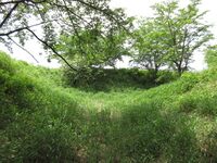 KaiKoyamajou (38).JPG
