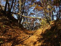 Karidaohjou (1).JPG