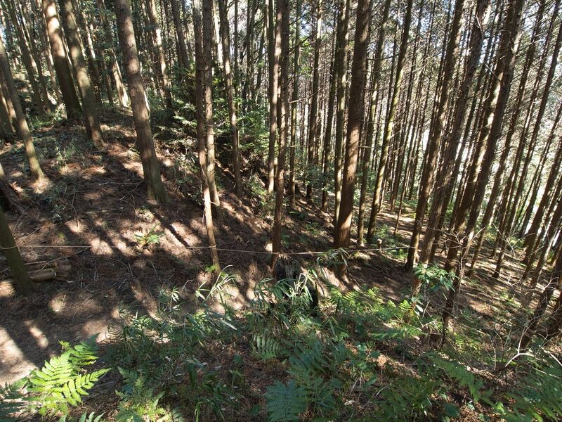 File:Kokashingushi17.jpg