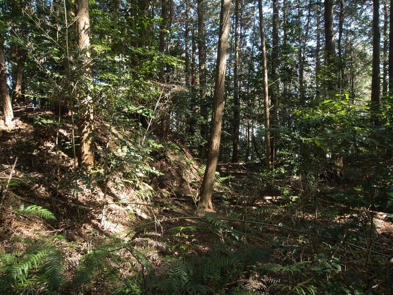 File:Maruokakoka13.jpg