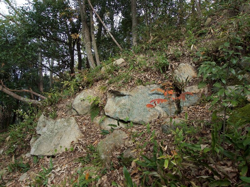 File:Niitakayama28.jpg