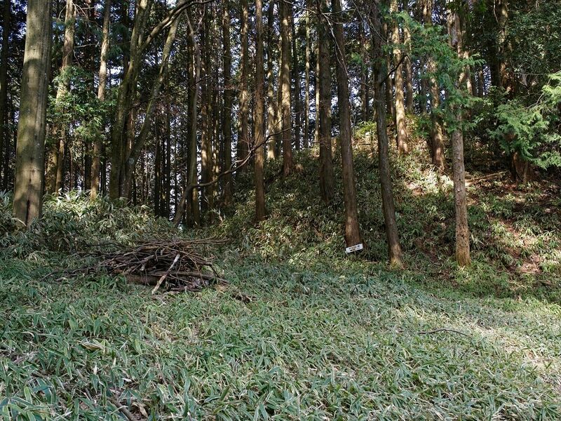 File:Ogawakoka4.jpg