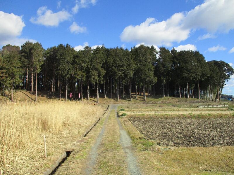 File:Ohnodajou (28).jpg