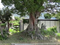 SunumaYakata (1).JPG