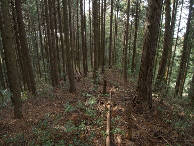 File:Wadashi1koka8.jpg