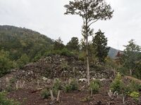 Habukyoto19.jpg