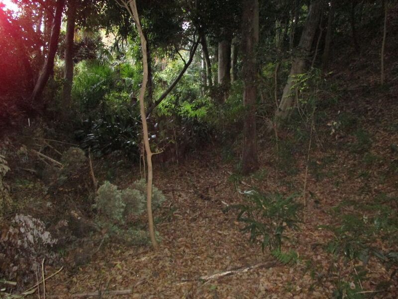 File:HigashiSakabejou010.jpg