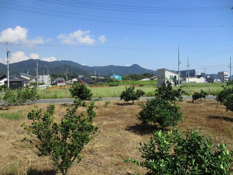 File:MikawaMizutakejou.jpg