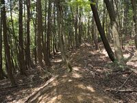 Nakataniyama9.jpg