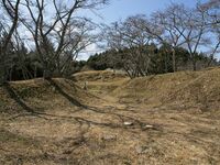 Ogawakoka32.jpg