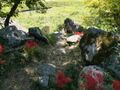 Thumbnail for version as of 22:48, 2 June 2024