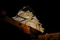 Osaka night2.jpg