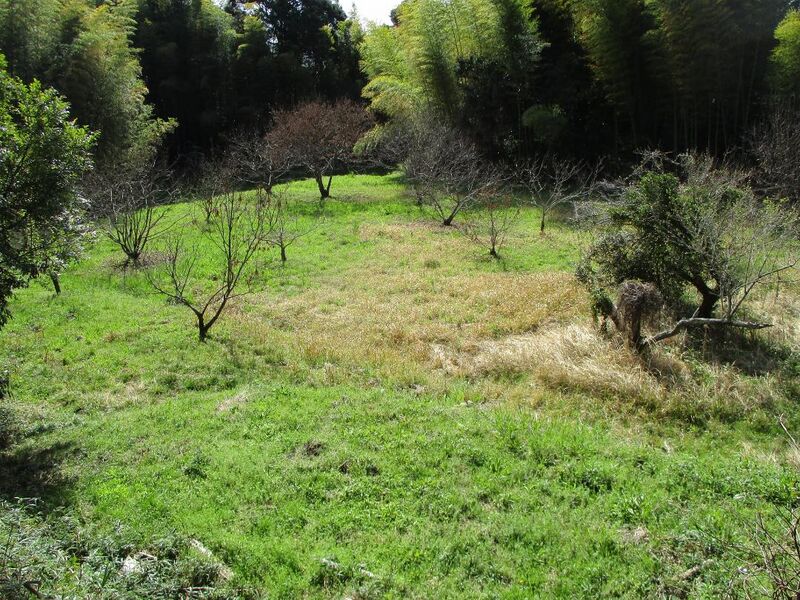 File:TohtoumiIidajou020.jpg