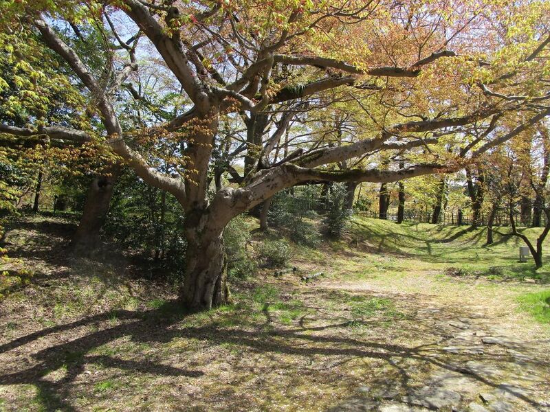File:ARTTakaokajou23.jpg