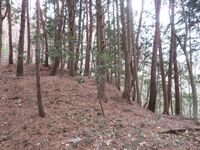 Iinawajou (11).JPG