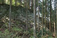 Iwamura40.jpg