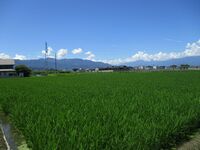 KaiImaiYashiki (5).JPG
