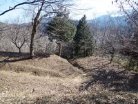 Katsuyamatsuru11.jpg