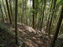 Ogawanakanokoka22.jpg