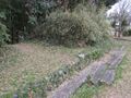 Thumbnail for version as of 13:51, 17 May 2025