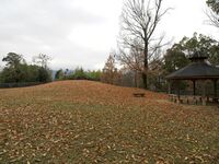 Eboshigata7.jpg