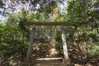 Hanazonomitake5.jpg
