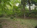 Thumbnail for version as of 17:55, 15 August 2023