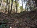 Inokurakyoto37.jpg