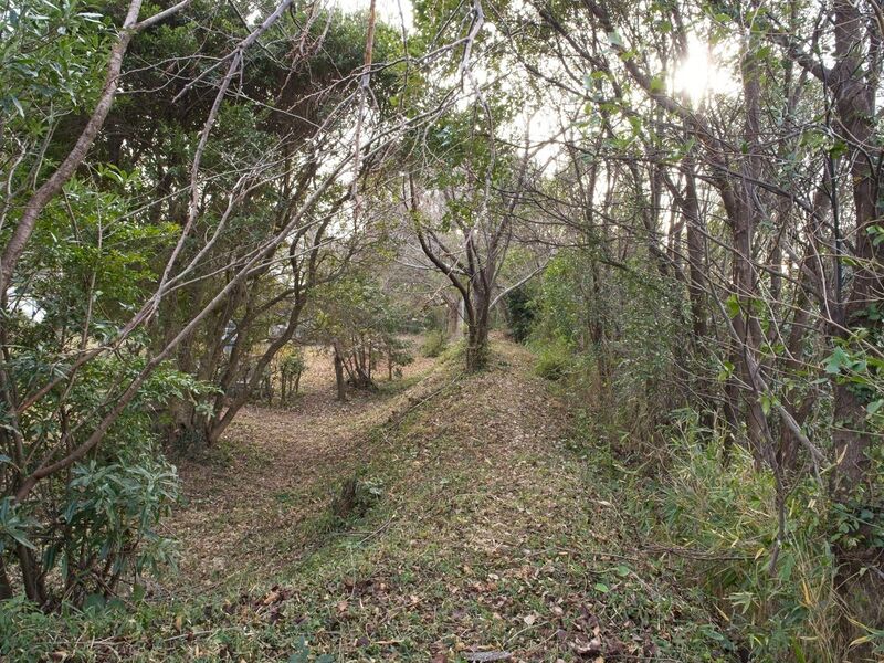 File:Kiikameyama18.jpg