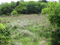 MikawaArainojou (1).jpg