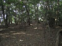 MikawaNoguchiKaminoyamajou002.jpg