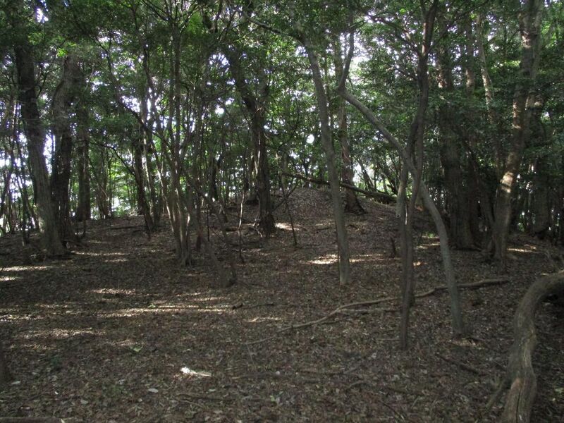 File:MikawaNoguchiKaminoyamajou002.jpg