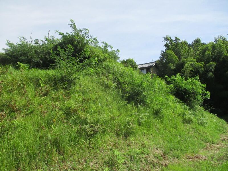 File:MikawaTaguchijou (2).jpg