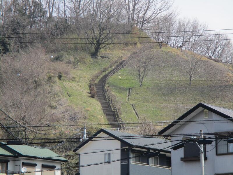 File:MinoHonjin006.jpg