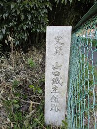 MinoYamaguchiYakata004.jpg