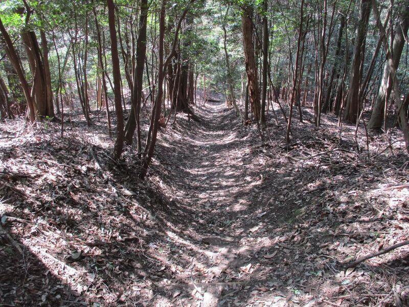 File:Natsuyamajou (6).jpg
