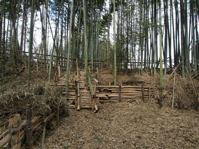 File:Takenaka16.jpg