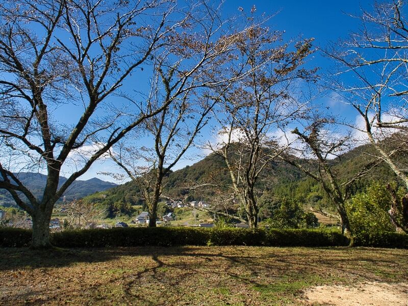 File:Yamagajinya7.jpg