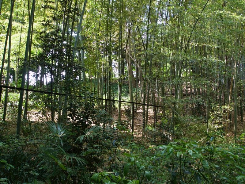 File:Akatsuka15.jpg