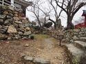 Hamamatsu24.jpg