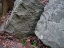 Heda quarry66.jpg