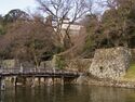 Hikone63.jpg