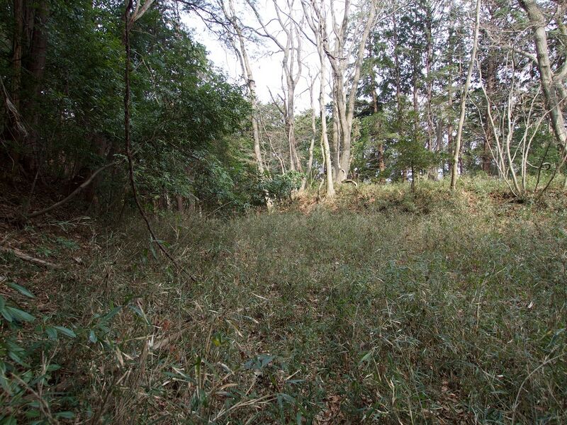 File:Nijojo10.jpg