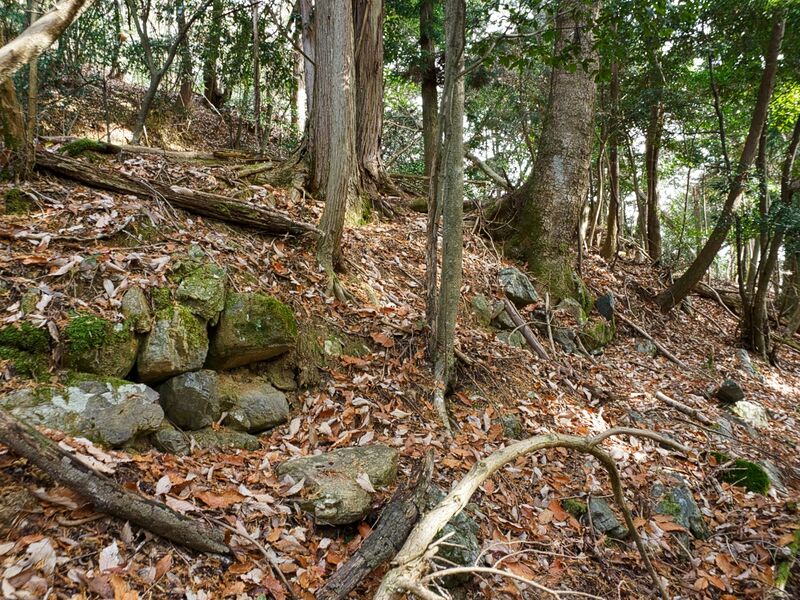 File:Shizuharasouth15.jpg