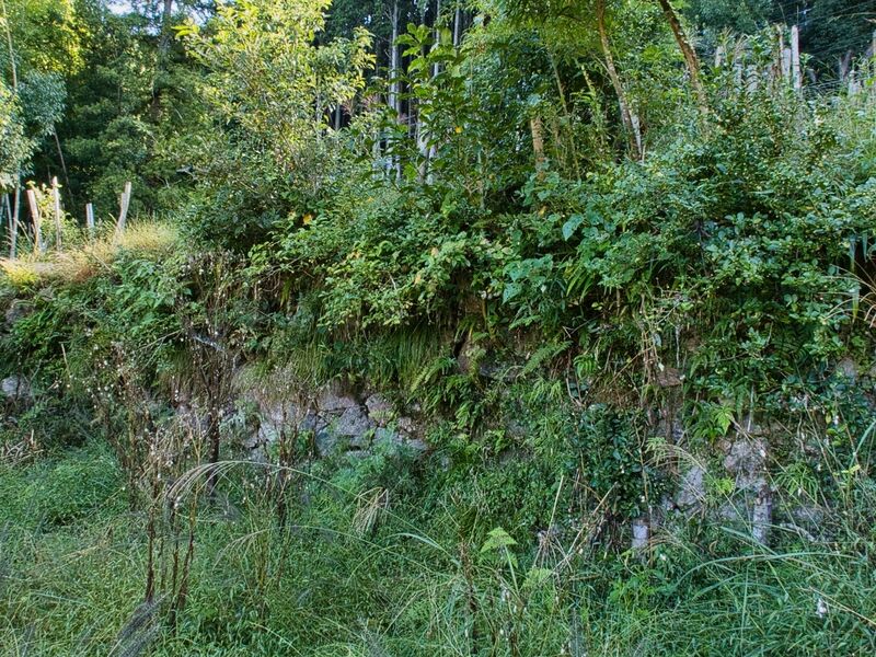 File:Yamagajinya12.jpg
