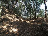 Yamana29.jpg